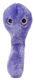 Mikrobe "C.Diff"