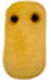 Mikrobe "Husten"