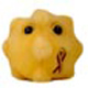 Mikrobe "Hepatitis"