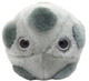 Mikrobe "HPV"
